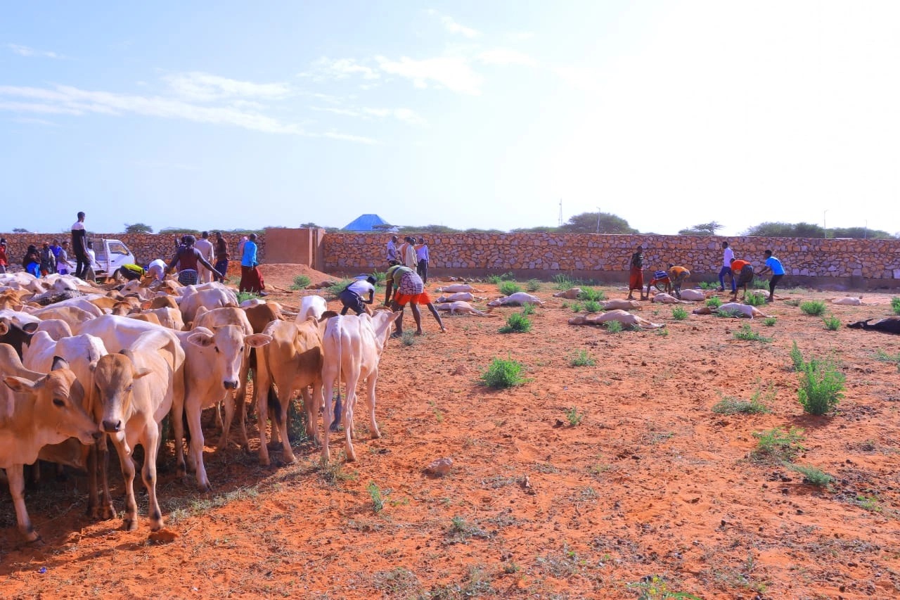 Qurban images Image 4